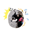 (>_<)maro（個別スタンプ：7）