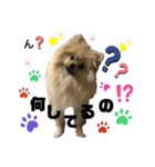 あんずの日常 ⑵（個別スタンプ：3）