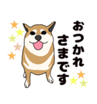 ほのぼの柴犬スタンプ（個別スタンプ：2）