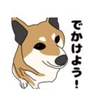 ほのぼの柴犬スタンプ（個別スタンプ：11）