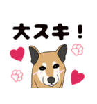 ほのぼの柴犬スタンプ（個別スタンプ：13）