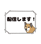 ほのぼの柴犬スタンプ（個別スタンプ：15）