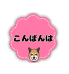 ほのぼの柴犬スタンプ（個別スタンプ：21）