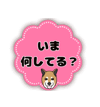 ほのぼの柴犬スタンプ（個別スタンプ：22）