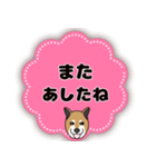 ほのぼの柴犬スタンプ（個別スタンプ：23）