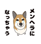 ほのぼの柴犬スタンプ（個別スタンプ：26）