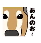 ほのぼの柴犬スタンプ（個別スタンプ：27）