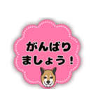 ほのぼの柴犬スタンプ（個別スタンプ：38）