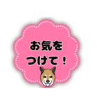 ほのぼの柴犬スタンプ（個別スタンプ：39）