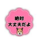 ほのぼの柴犬スタンプ（個別スタンプ：40）