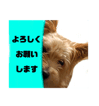 なぎこはるあきのスタンプ（個別スタンプ：1）