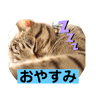 なぎこはるあきのスタンプ（個別スタンプ：4）