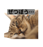なぎこはるあきのスタンプ（個別スタンプ：7）