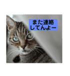 なぎこはるあきのスタンプ（個別スタンプ：8）