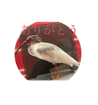 骸骨と動物（個別スタンプ：4）
