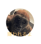 骸骨と動物（個別スタンプ：5）