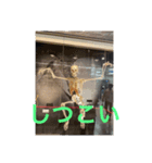 骸骨と動物（個別スタンプ：8）
