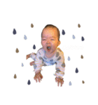 piyostamp_（個別スタンプ：10）