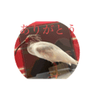 骸骨と動物のスタンプ（個別スタンプ：4）