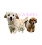 ラッキー＆ジャック（個別スタンプ：5）
