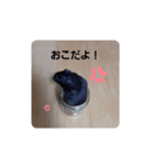 クロン♥️スタンプ4（個別スタンプ：4）