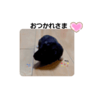 クロン♥️スタンプ5（個別スタンプ：7）