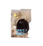 クロン♥️スタンプ5（個別スタンプ：8）