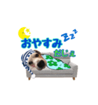 ジャックのラスさんスタンプ（個別スタンプ：8）