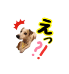 ジャックのラスさんスタンプ（個別スタンプ：9）