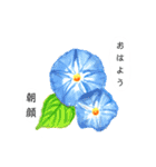 こんにちは！お花畑（個別スタンプ：10）