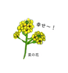 こんにちは！お花畑（個別スタンプ：14）