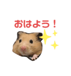 チャッキちゃんスタンプ 2！（個別スタンプ：1）