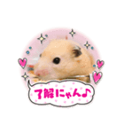 チャッキちゃんスタンプ 2！（個別スタンプ：2）
