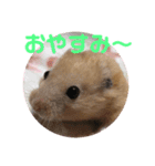 チャッキちゃんスタンプ 2！（個別スタンプ：8）