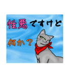 性悪猫momoっちリターンズ（個別スタンプ：1）