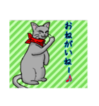 性悪猫momoっちリターンズ（個別スタンプ：7）