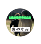 大野原の集金屋さんII（個別スタンプ：4）