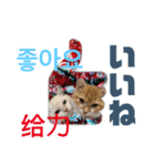 猫菩薩 極楽浄土（個別スタンプ：2）