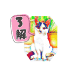 KumaKikiDâ202012（個別スタンプ：2）
