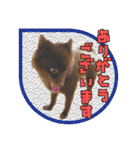 KumaKikiDâ202012（個別スタンプ：6）