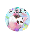 KumaKikiDâ202012（個別スタンプ：13）
