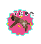 KumaKikiDâ202012（個別スタンプ：17）