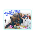 KumaKikiDâ202012（個別スタンプ：18）