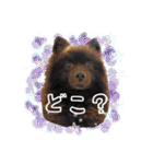 KumaKikiDâ202012（個別スタンプ：22）