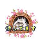 KumaKikiDâ202012（個別スタンプ：23）