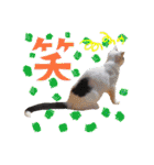 KumaKikiDâ202012（個別スタンプ：30）