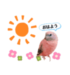 うちの鳥てんちゃん。（個別スタンプ：7）