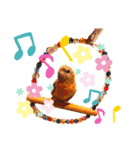 うちの鳥てんちゃん。（個別スタンプ：17）