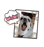 やさぐれぷーすけ（個別スタンプ：7）