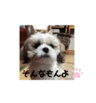 やさぐれぷーすけ（個別スタンプ：22）